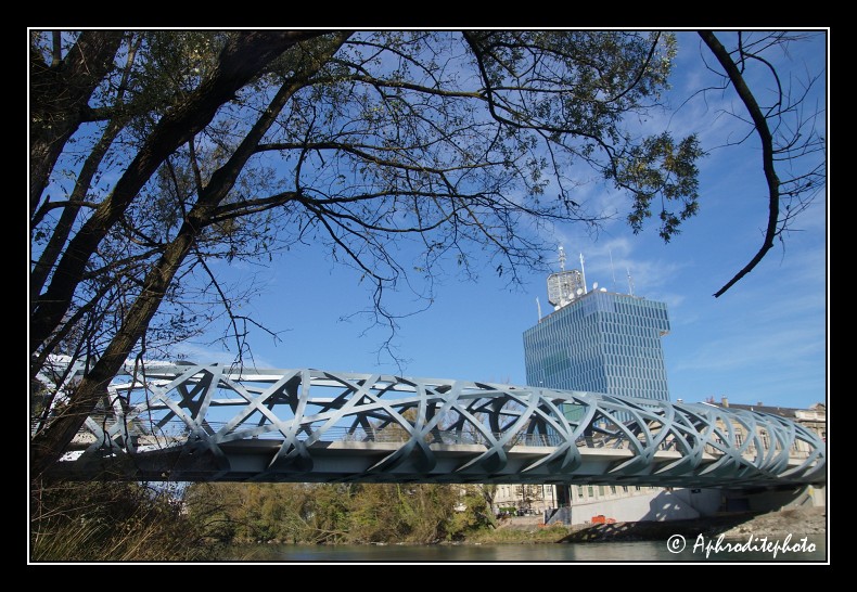 148  Le pont Wilsdorf enjambant l Arve avec le bâtiment de la Télévision